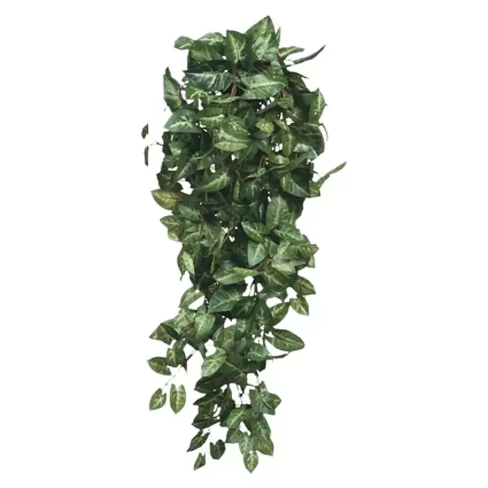 Planta artificial Fittonia - Altura: 180 cm, Verde, Plástico - Vista frontal
