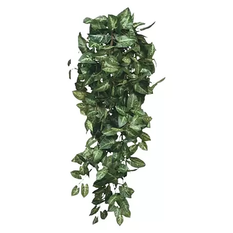 Planta artificial Fittonia