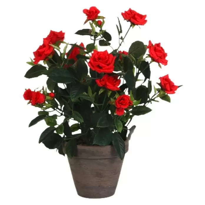 Planta artificial Rosas - Altura: 33 cm, Rojo, Plástico - Vista frontal