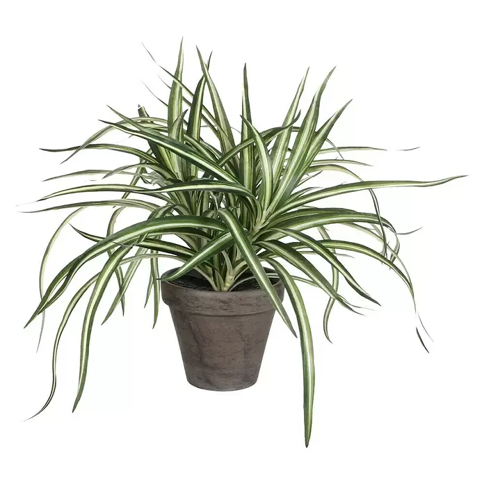 Planta artificial Dracanea - Altura: 43 cm, Verde, Plástico - Vista frontal