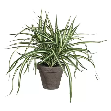 Planta artificial Dracanea