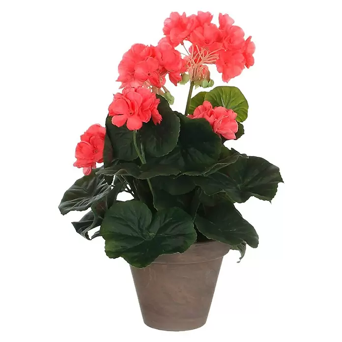 Planta artificial Geranio - Altura: 34 cm, Rosa, Plástico - Vista frontal
