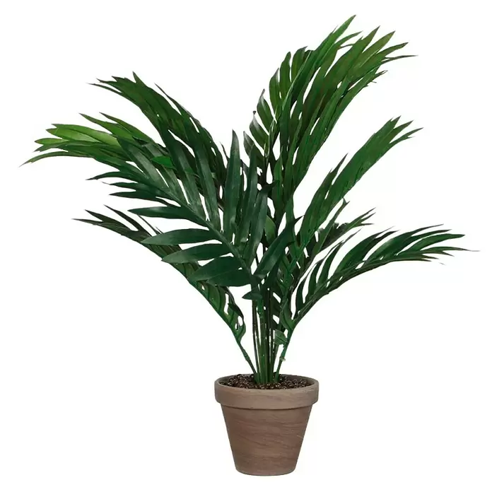 Kunstpflanze Areca Palme - Höhe: 45 cm, Grün, Kunststoff - Vorderansicht