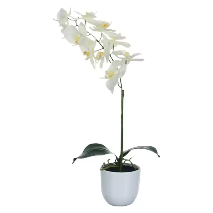 Kunstpflanze Phalaenopsis - Höhe: 60 cm, Weiß, Kunststoff - Vorderansicht