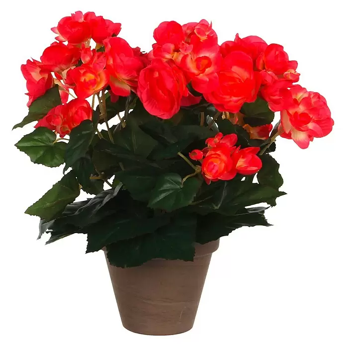 Kunstpflanze Begonia - Höhe: 30 cm, Rot, Kunststoff - Vorderansicht