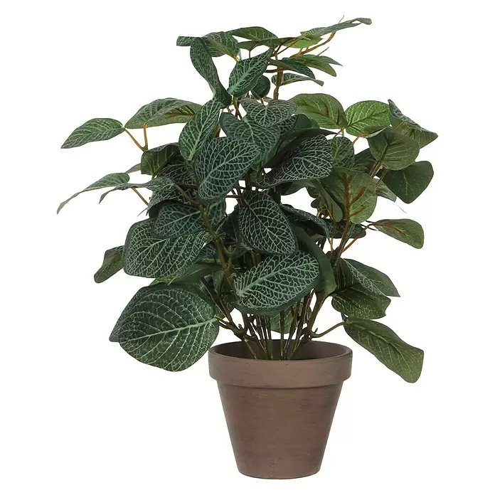 Planta artificial Pilea - Altura: 35 cm, Verde, Plástico - Vista frontal