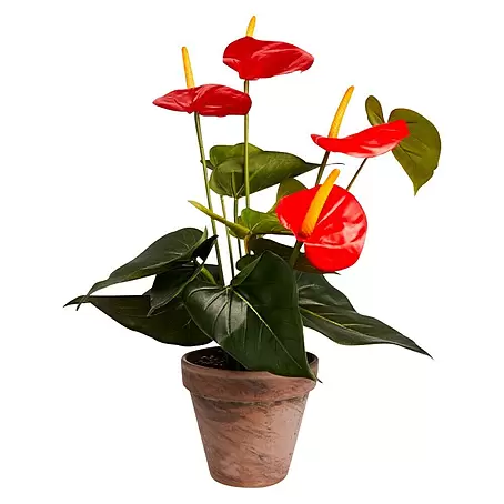 Planta artificial Anturio