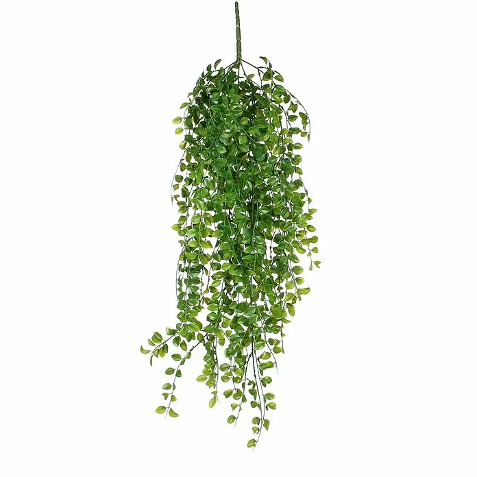 Kunstpflanze Fikus - Höhe: 81 cm, Grün, Kunststoff - Detailaufnahme