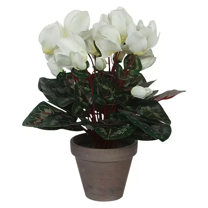 Kunstpflanze Cyclamen - Höhe: 30 cm, Weiß, Kunststoff - Vorderansicht