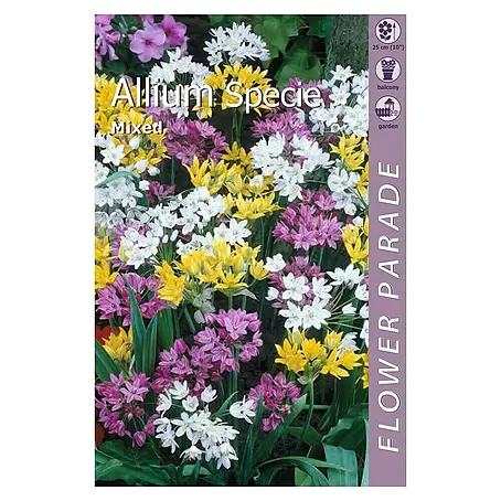 Kapiteyn  Bulbos de verano Allium botanical