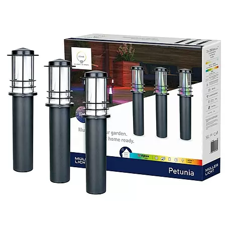 Müller-Licht Tint LED-Wegeleuchte Tint Petunia 3er-Set