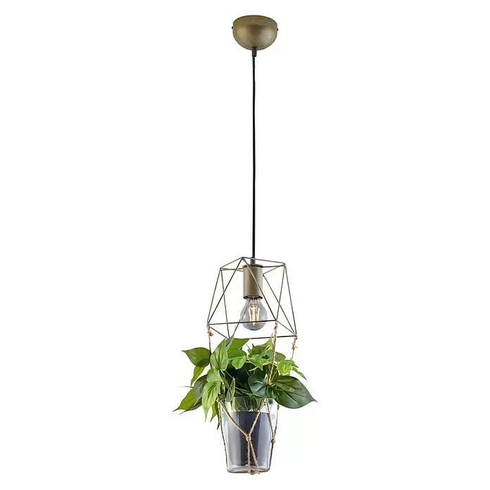 Trio Leuchten Hanglamp Plant - 10 W, l x b x h: 10 x 22 x 150 cm, Nikkel, E27 - Vooraanzicht