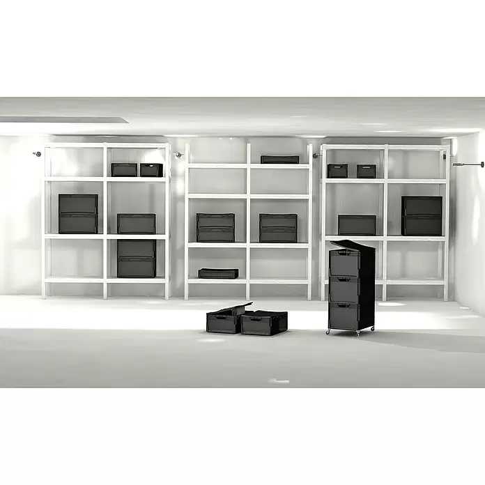 Surplus Systems Kutija za pohranjivanje - D x Š x V: 40 x 30 x 12 cm - Živopisni prikaz