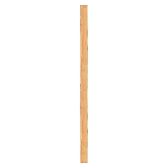 Vloerdeel voor terrassen - 300 x 13,8 x 2,4 cm, Hardhout - Vooraanzicht
