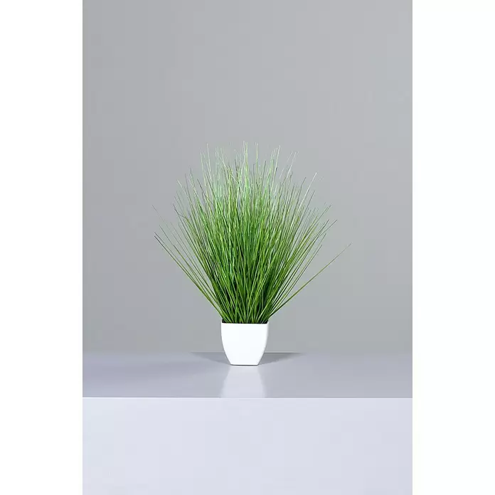 Kunstpflanze California-Beach-Gras - Höhe: 60 cm, Kunststoff - Stimmungsaufnahme