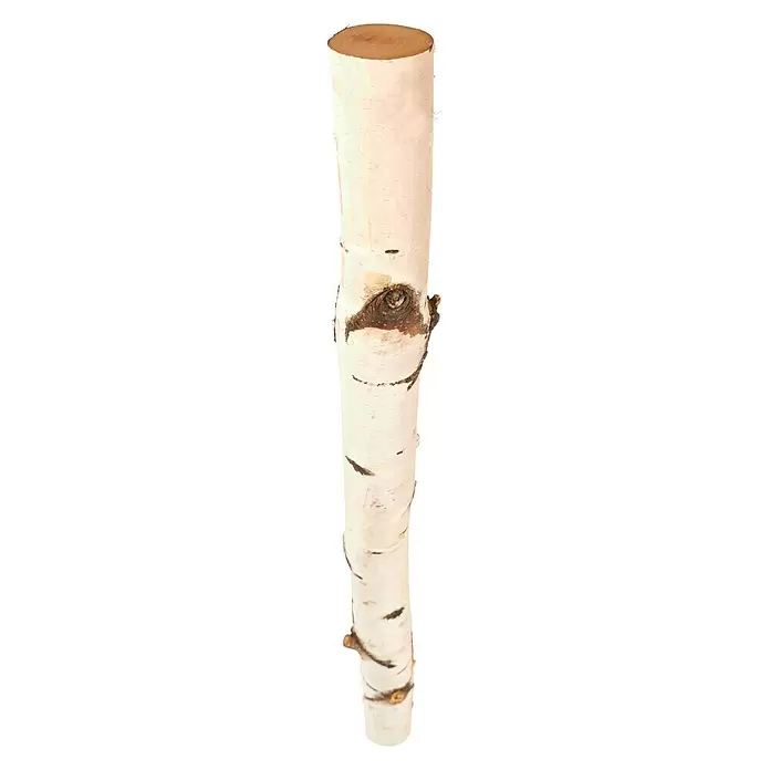 Birkenstamm - 0,8 m, Durchmesser: 5 cm - 10 cm, Unbehandelt - Vorderansicht