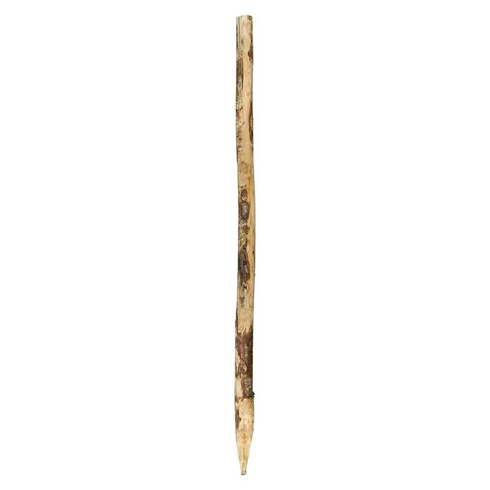 Houten paal rond - Lengte: 180 cm, Kastanje, Bruin - Bovenaanzicht
