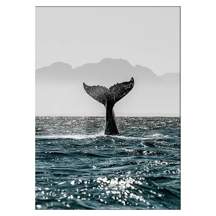 Cuadro cola Ballena - Escena marina, An x Al: 50 x 70 cm - Vista superior