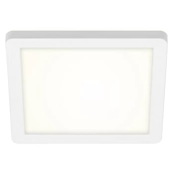 Briloner Plafón LED para exterior Frankfurt - 8 W, Color de luz: Blanco neutro, Blanco, L x An x Al: 190 x 190 x 28 mm, IP44 - Vista ascendente