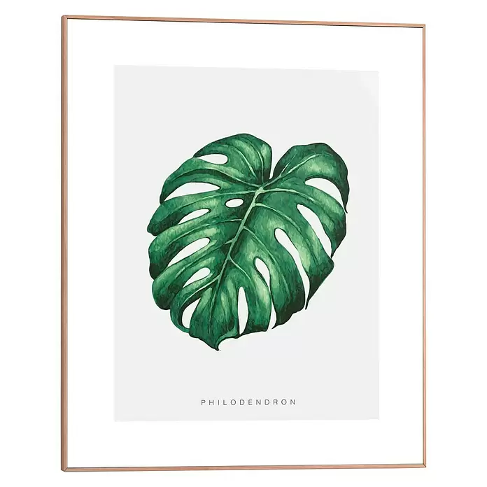 Bild Slim Frame - Monstera Leaf, B x H: 40 x 50 cm - Vorderansicht