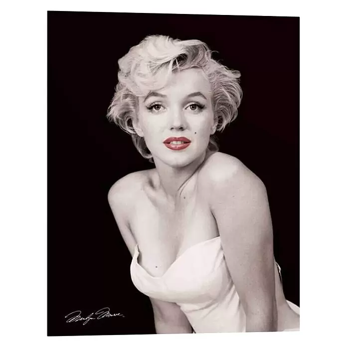 Decopanel - Monroe Red Lips, B x H: 40 x 50 cm - Vorderansicht
