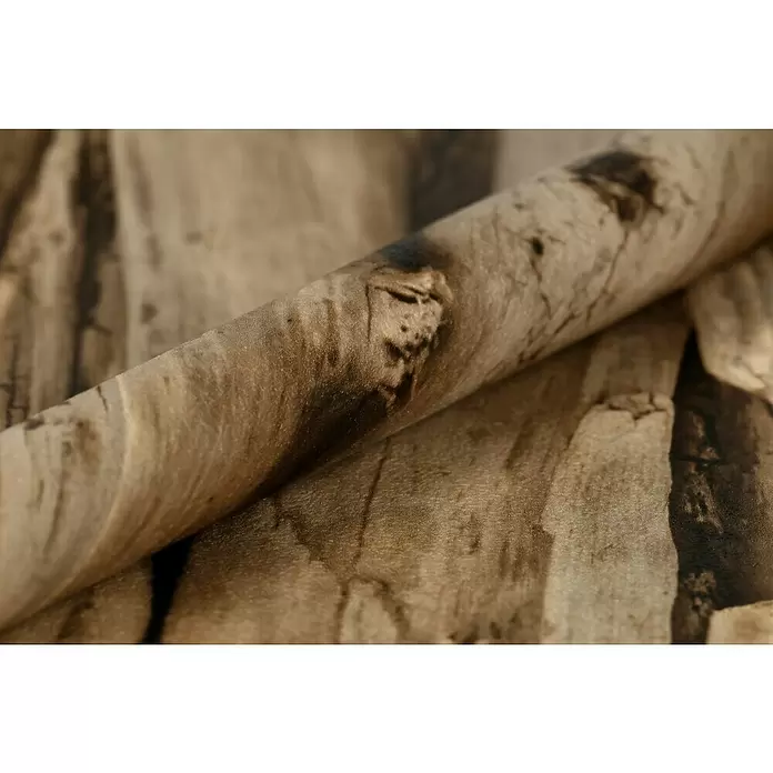 Rasch Vliestapete African Queen II - Natur, Holzoptik, Treibholz, 10,05 x 0,53 m - Detailaufnahme