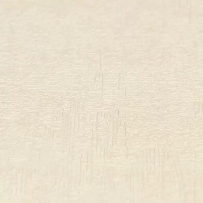 Rasch Vliestapete - Beige, Lebendige Struktur, Uni, 10,05 x 0,53 m - Detailaufnahme