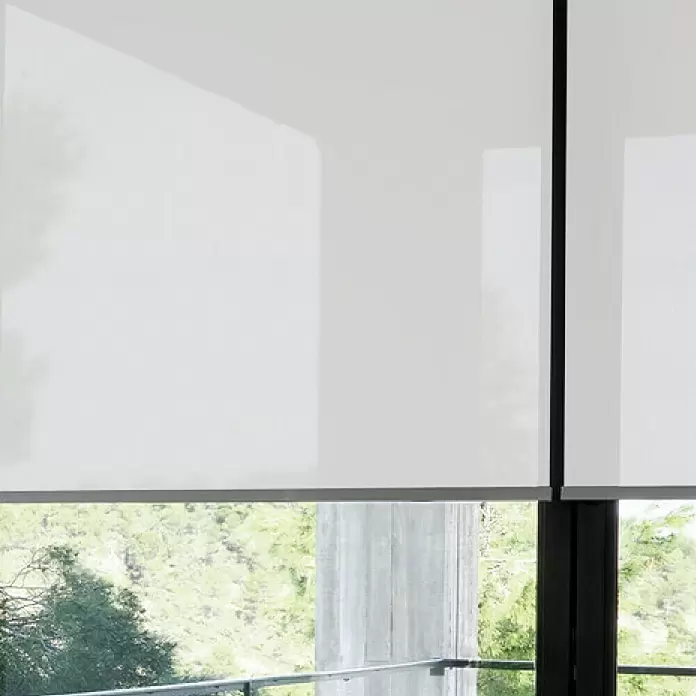 Estor enrollable screen 1% - An x Al: 120 x 250 cm, Blanco perla - Primer plano