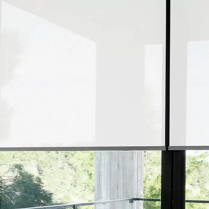 Estor enrollable screen 1% - An x Al: 150 x 250 cm, Blanco - Primer plano