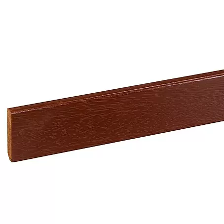 Muurplint