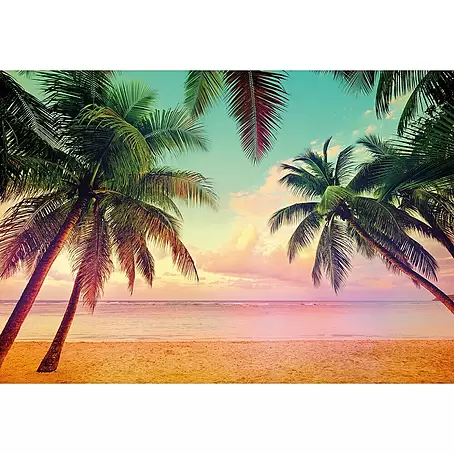 Komar Home Foto tapeta Miami